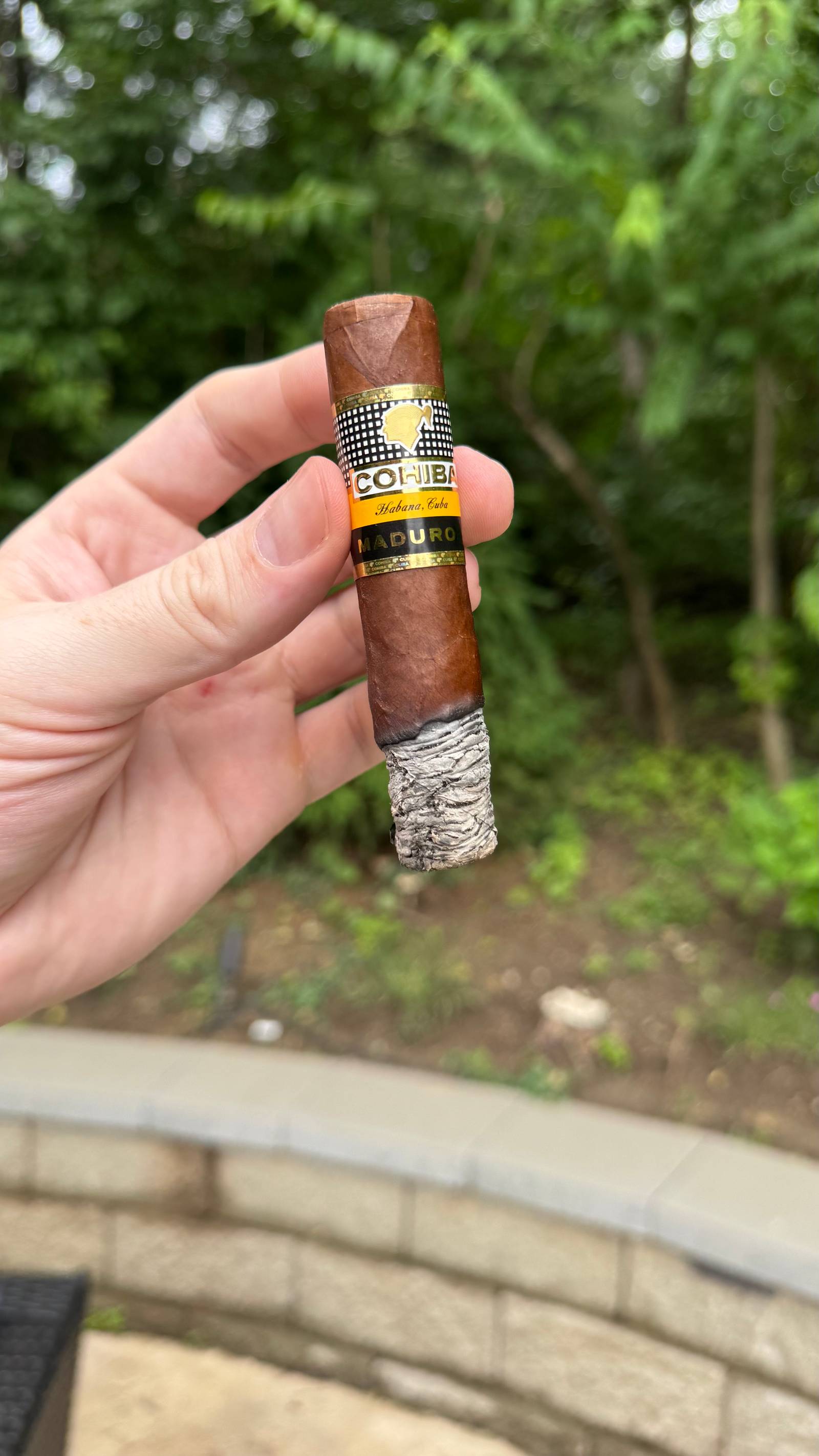 Photo 3 of 3 for Cohiba Magicos Maduro 5 4.5" * 52, reviewed on Jun 7, 2025 and given a rating of 7.5.